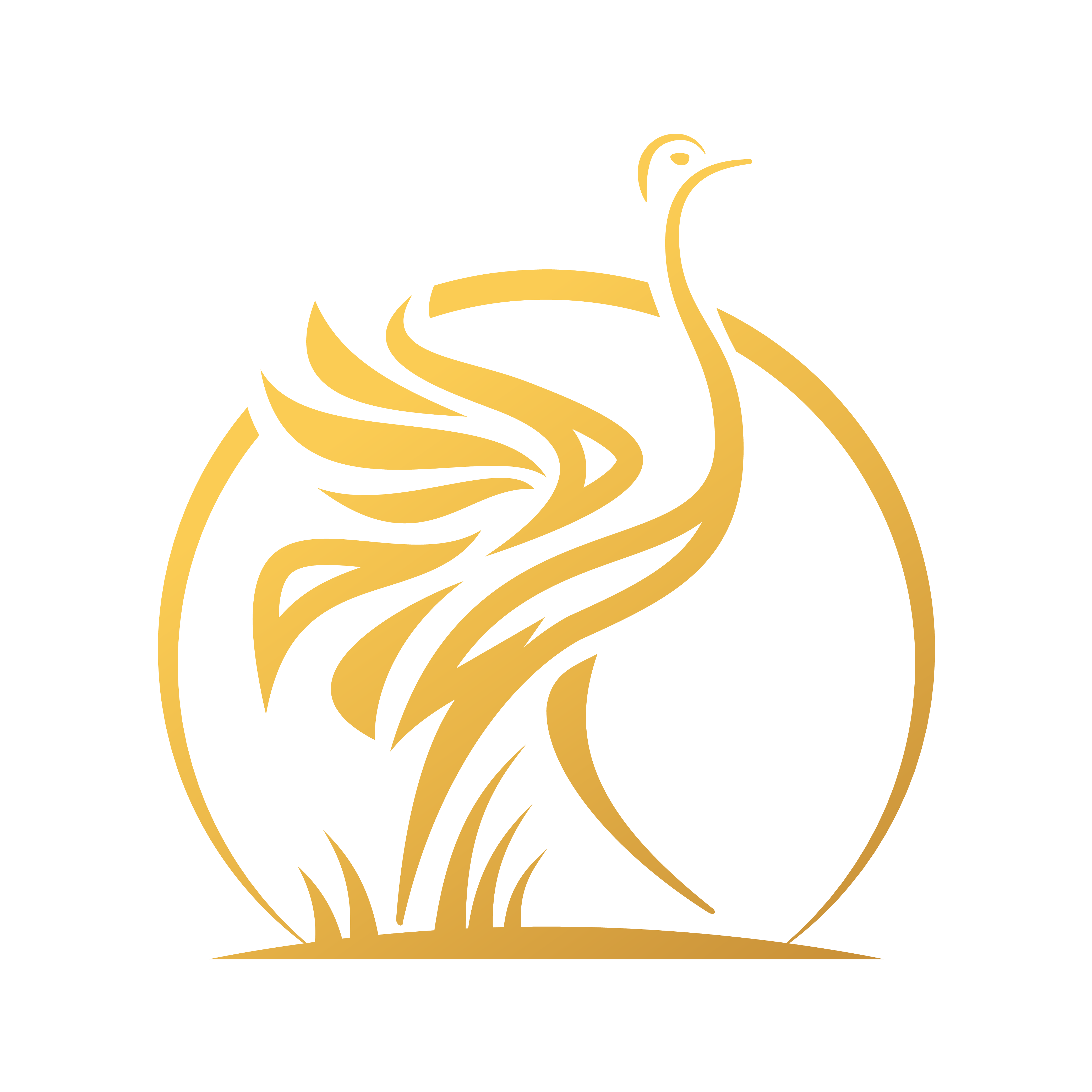TAPIOCA D-K logo